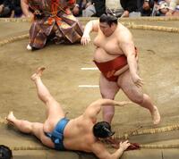 琴栄峰（下）を突き落とす熱海富士（撮影・吉澤敬太）