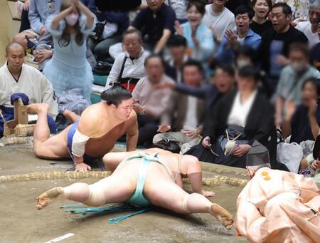 琴桜を上手投げで破った藤ノ川。はなわ（右奥）、東貴博も大喜び（写真を一部加工しています）
