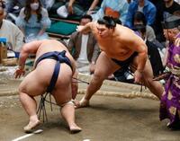 杉山愛監督「チーム力で戦う」/スポーツ/デイリースポーツ online