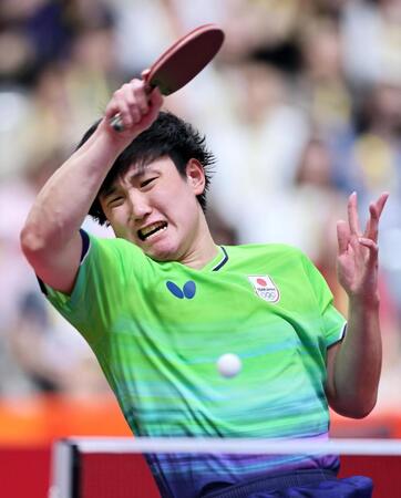 男子シングルス準々決勝　イラン選手と対戦する張本智和