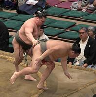 豪刃雄（右）を突き落としで破った旭富士（撮影・持木克友）
