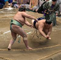 琴桜（左）の突き落としに敗れた大の里（撮影・持木克友）