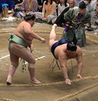 琴桜（左）の突き落としに敗れた大の里（撮影・持木克友）