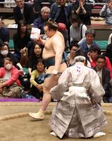 懸賞金を手にする安青錦