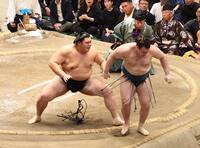 安青錦（右）を突き出しで破る大の里＝両国国技館