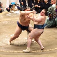 大の里（左）に寄りきりで敗れる安青錦
