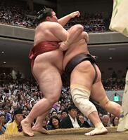 　朝乃山（右）に寄り切られる熱海富士＝２５日