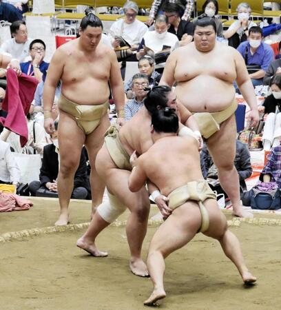 稽古を見つめる寿之富士（左奥）と熱海富士（同右）
