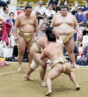 稽古を見つめる寿之富士（左奥）と熱海富士（同右）