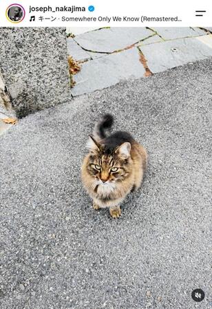 中島佑気ジョセフのインスタグラム（ｊｏｓｅｐｈ＿ｎａｋａｊｉｍａ）より