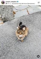 中島佑気ジョセフのインスタグラム（ｊｏｓｅｐｈ＿ｎａｋａｊｉｍａ）より