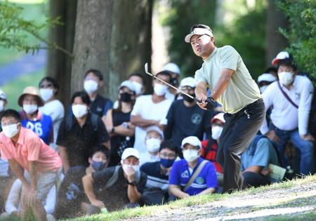 　８番、左の林からセカンドショットを放つ池田勇太（撮影・北村雅宏）