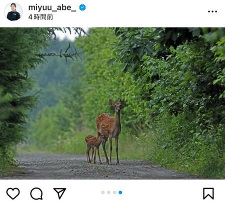 　今夏に撮影した写真。阿部未悠のインスタグラム（ｍｉｙｕｕ＿ａｂｅ＿）より