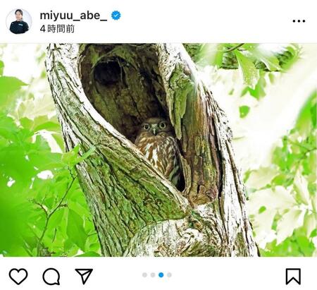 　今夏に撮影した写真。阿部未悠のインスタグラム（ｍｉｙｕｕ＿ａｂｅ＿）より