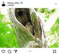 　今夏に撮影した写真。阿部未悠のインスタグラム（ｍｉｙｕｕ＿ａｂｅ＿）より