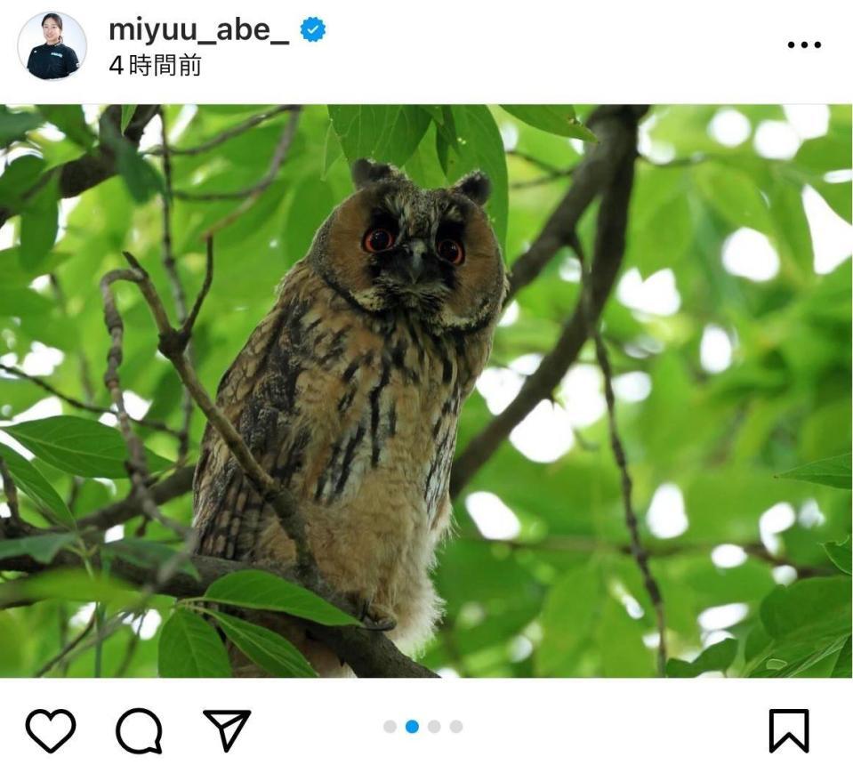 　阿部未悠のインスタグラム（ｍｉｙｕｕ＿ａｂｅ＿）今夏に撮影した写真。より