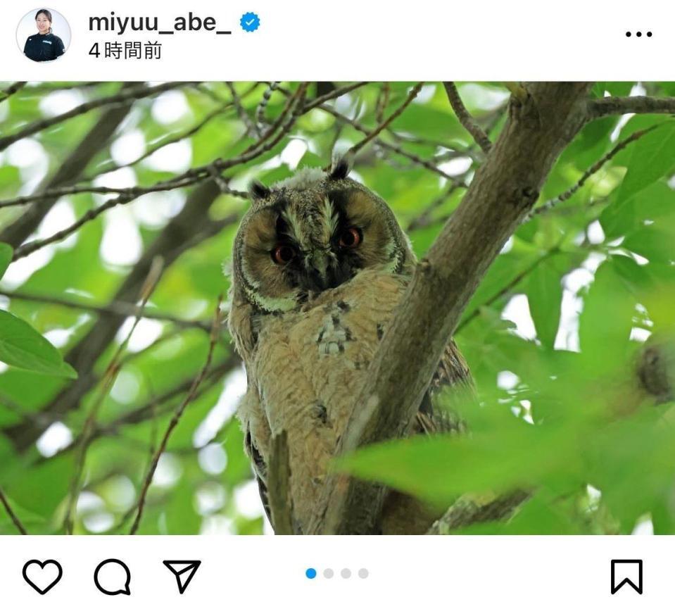 　今夏に撮影した写真。阿部未悠のインスタグラム（ｍｉｙｕｕ＿ａｂｅ＿）より