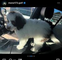 稲見萌寧インスタグラム（ｍｏｎｅ１７３．ｇｏｌｆ）より