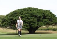 　かわいらしいゴルフウエアで練習する吉田鈴＝４日