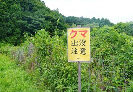 　コース近隣に立てられたクマ出没注意の看板