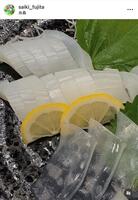 　藤田さいきインスタグラム（ｓａｉｋｉ＿ｆｕｊｉｔａ）より