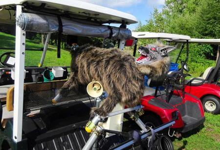 女子ゴルフ クマ対策に切り札「モンスターウルフ」初導入 オオカミ風貌に咆哮 桜井心那がエール「頑張って」