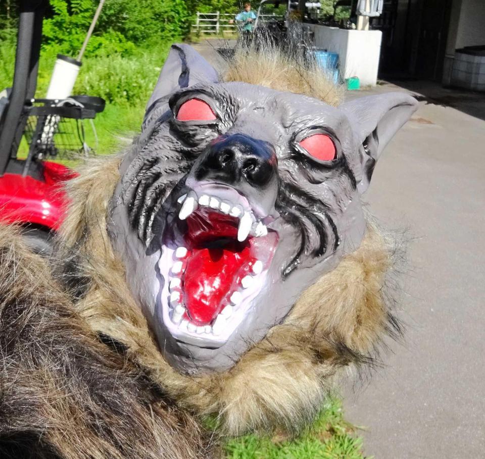 　女子ツアーでは初導入となった害獣撃退装置「モンスターウルフ」の怖い顔