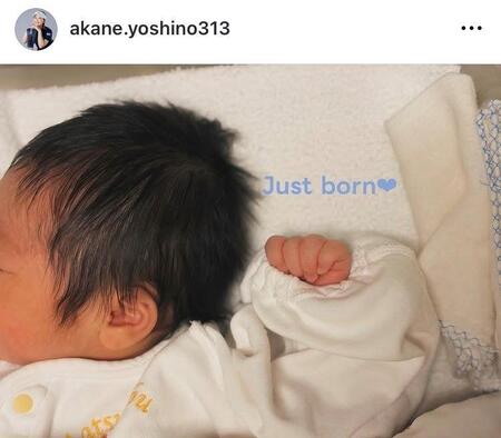 吉野茜インスタグラム（ａｋａｎｅ．ｙｏｓｈｉｎｏ３１３）より