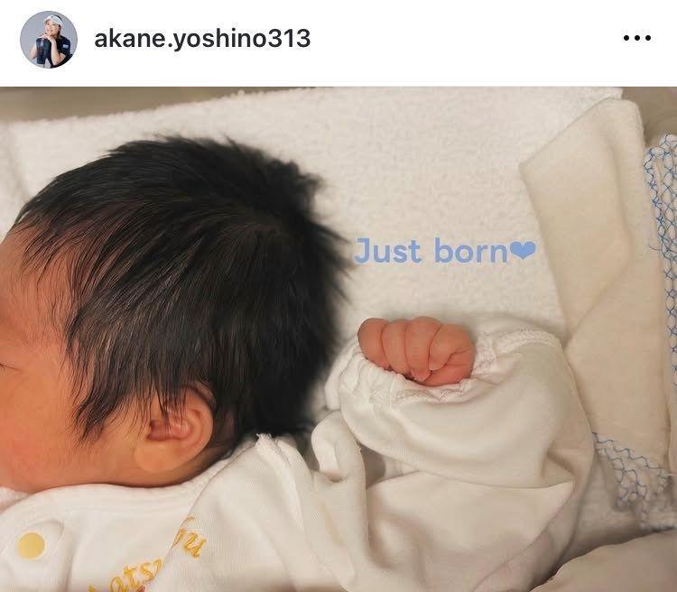 吉野茜インスタグラム（ａｋａｎｅ．ｙｏｓｈｉｎｏ３１３）より