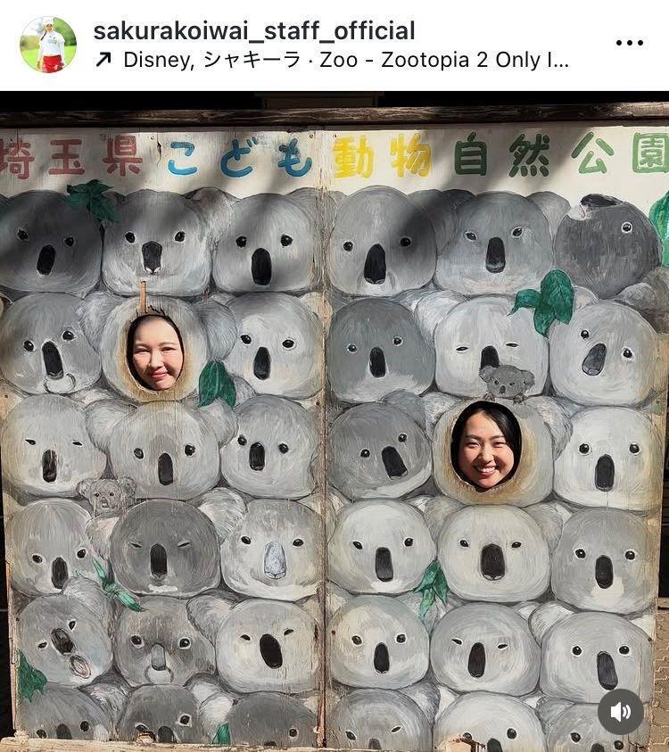小祝さくらスタッフ公式インスタグラム（ｓａｋｕｒａｋｏｉｗａｉ＿ｓｔａｆｆ＿ｏｆｆｉｃｉａｌ）より