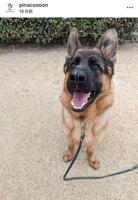 渋野日向子インスタグラム（ｐｉｎａｃｏｏｏｏｎ）より