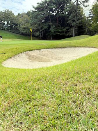 三上コース８番グリーン脇に新設されたポットバンカ