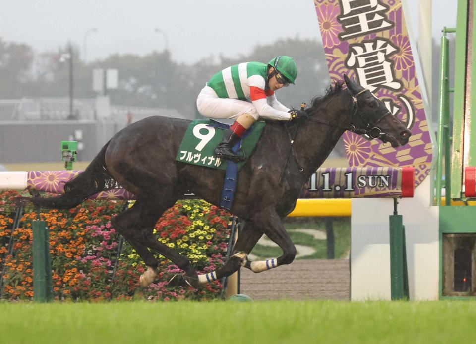 　アルテミスＳを勝利したプルヴィナル