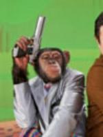 　女性研修生にけがをさせたチンパンジー「パンくん」