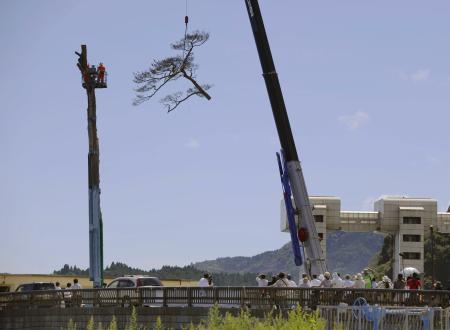 　岩手県陸前高田市の「奇跡の一本松」