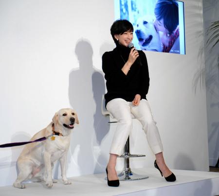 滝クリ おもてなし の裏に愛犬の支え 芸能 デイリースポーツ Online