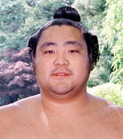 元関脇が偽装結婚容疑で逮捕…20歳下、韓国籍飲食店従業員と