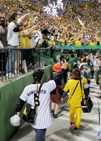 　お気に入り選手の背番号を入れた応援ユニホームを着て声援を送る阪神ファン