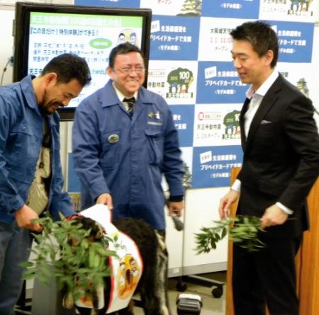 天王寺動物園からＰＲに来たヤギにエサを与えようとした大阪市の橋下徹市長＝大阪市役所