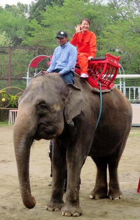 ゾウに乗り新曲を熱唱した上杉香緒里＝千葉県・市原ぞうの国
