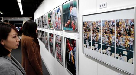 各社カメラマンの力作が展示された「関西スポーツ紙カメラマン展」＝大阪市北区（撮影・坂部計介）