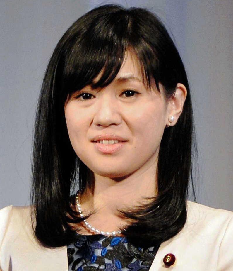 　上西小百合衆議院議員