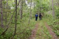 　陸上自衛隊の演習場近くの林＝３日午後１時30分ごろ、北海道鹿部町