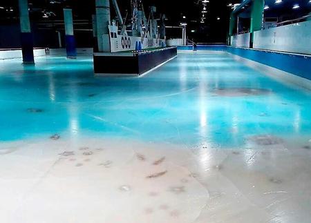 　批判を受け閉鎖された、魚を氷漬けにしたスケートリンク＝北九州市八幡東区