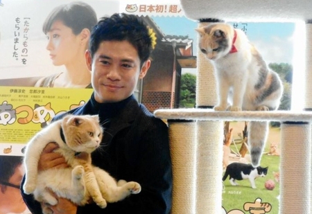 映画「ねこあつめの家」のイベントで共演した猫のシナモンを抱っこする伊藤淳史。右の猫は同ドロップ＝東京・猫カフェ　きゃりこ新宿店