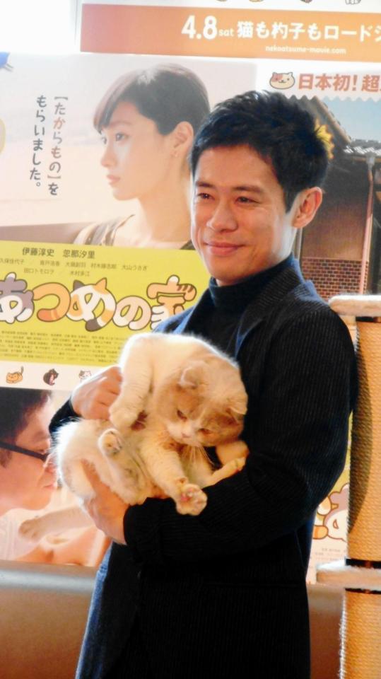 伊藤淳史が猫カフェに 自宅は犬派も 本当にかわいい 芸能 デイリースポーツ Online