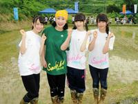 田植えを行った（左から）ＮＧＴ４８の山田野絵、小林幸子、ＮＧＴ４８の荻野由佳と小熊倫実＝新潟県長岡市山古志地域