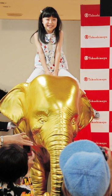 人気子役の美羽ちゃん 最高 黄金象に乗る 芸能 デイリースポーツ Online