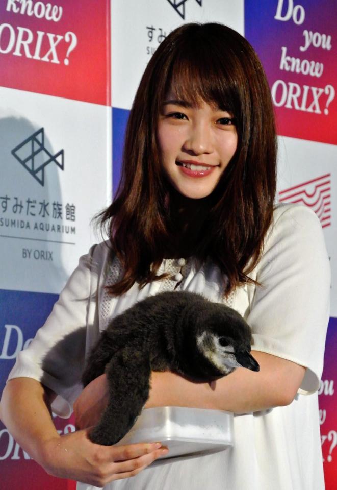 赤ちゃんペンギンの名付け親となった川栄李奈＝東京・すみだ水族館