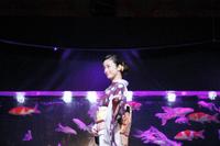 水族アート展覧会の開会式に出席した上戸彩＝京都・二条城